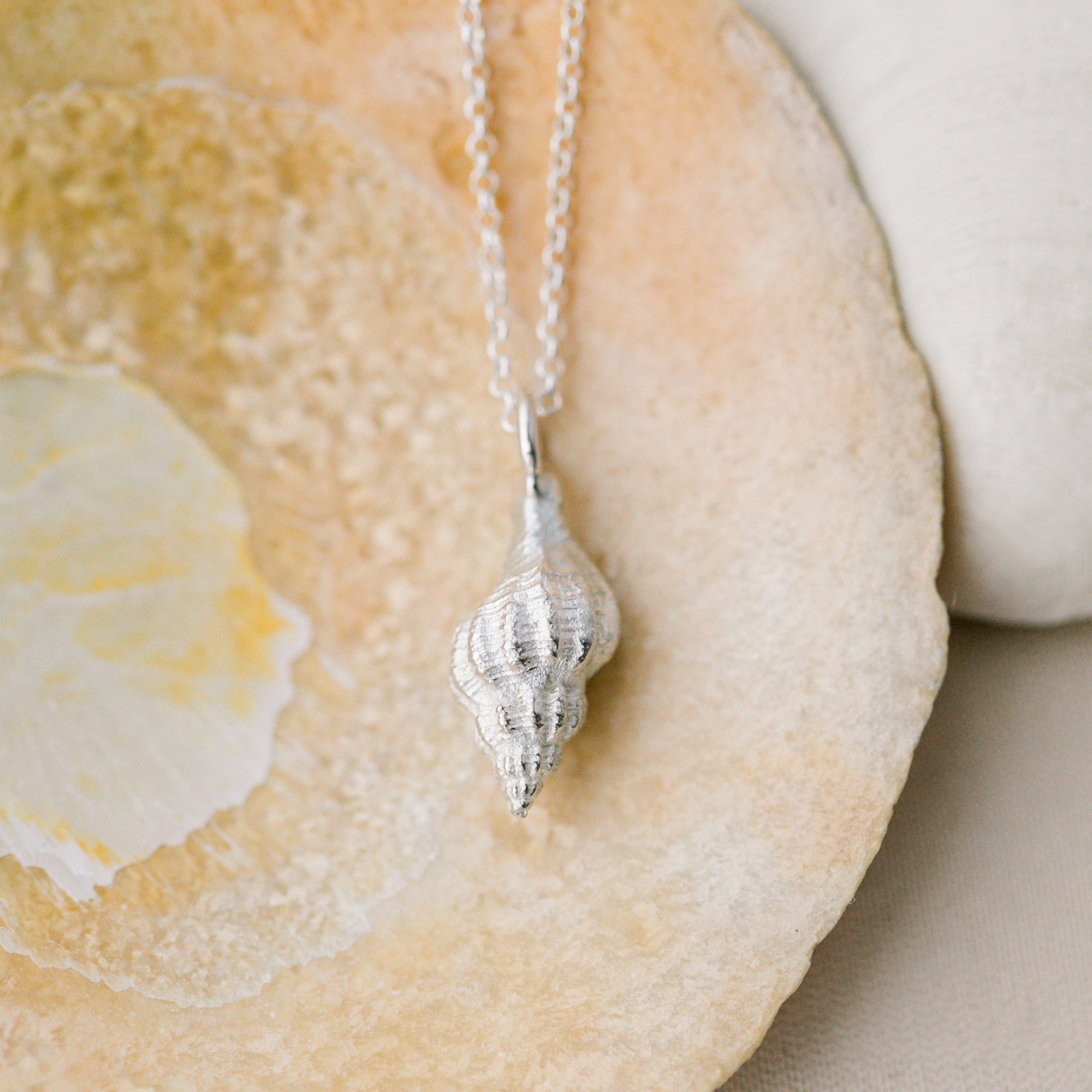 Spiral shell pendant outlet